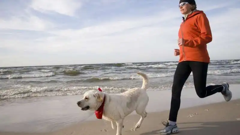 correre con il cane  2