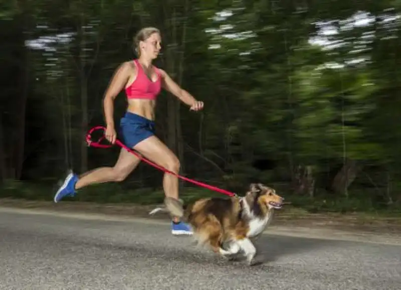 correre con il cane  5