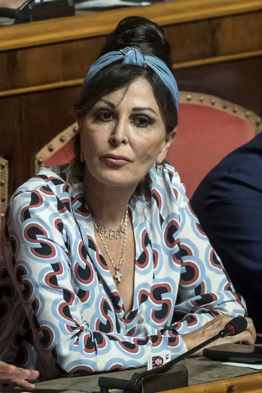 daniela santanche' al senato