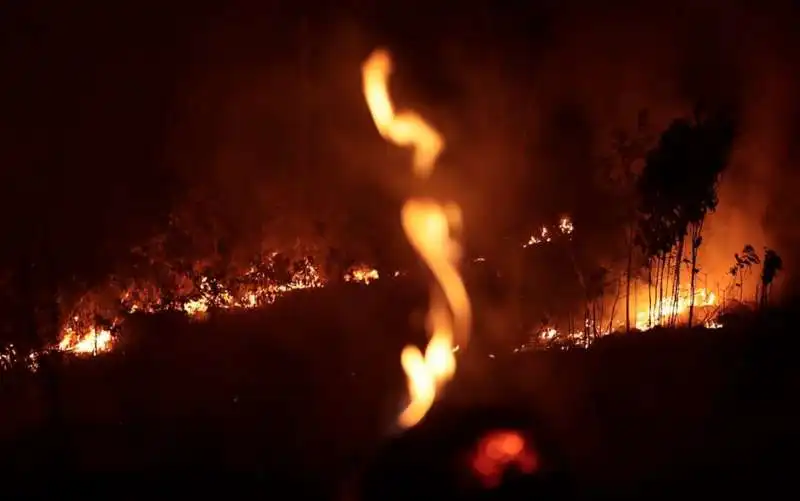 gli incendi in amazzonia 11