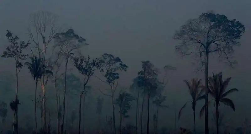 gli incendi in amazzonia 2