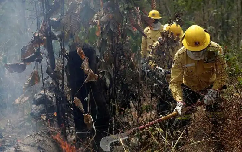 gli incendi in amazzonia 9