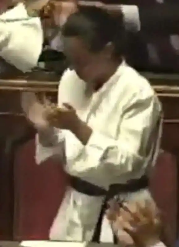 licia ronzulli judoka in senato