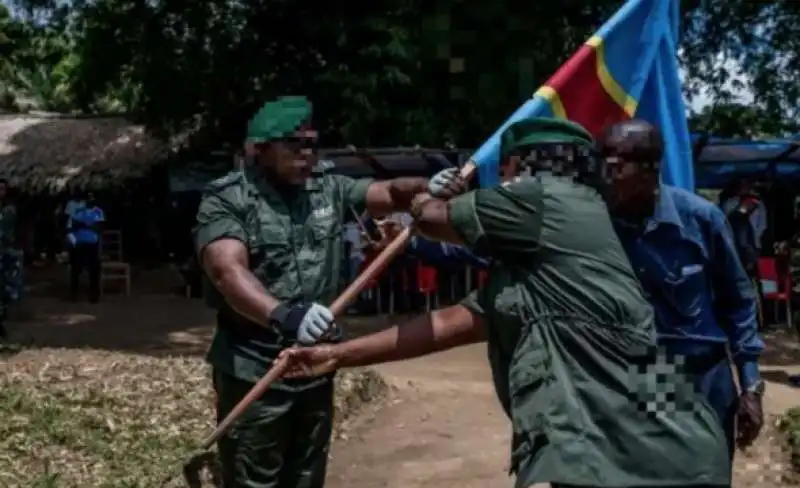 ranger in congo 4