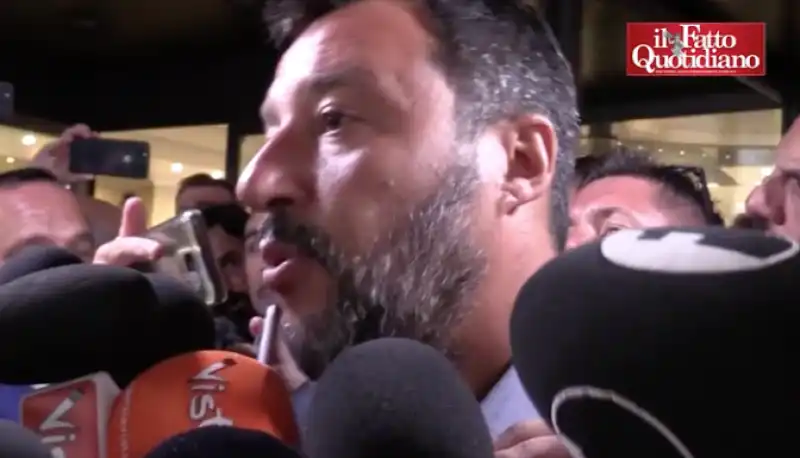 salvini