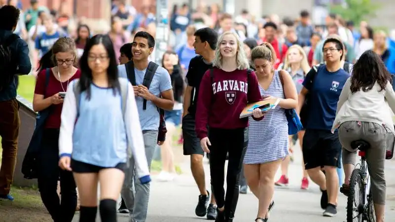 studenti di harvard