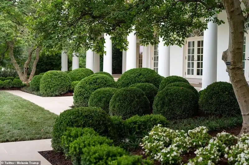 giardino delle rose alla casa bianca dopo i trump 