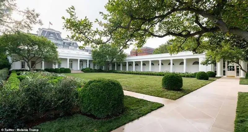 giardino delle rose alla casa bianca dopo la cura di melania trump 