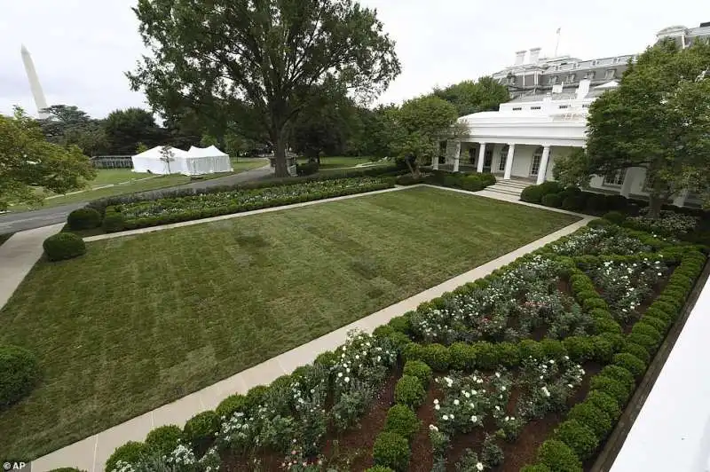 giardino delle rose con i trump  6