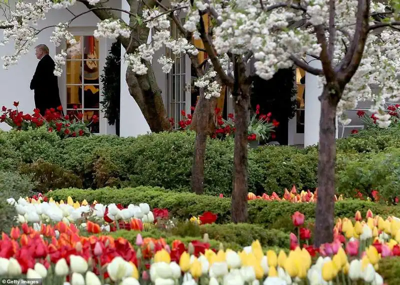 giardino delle rose prima del restyling di melania trump 