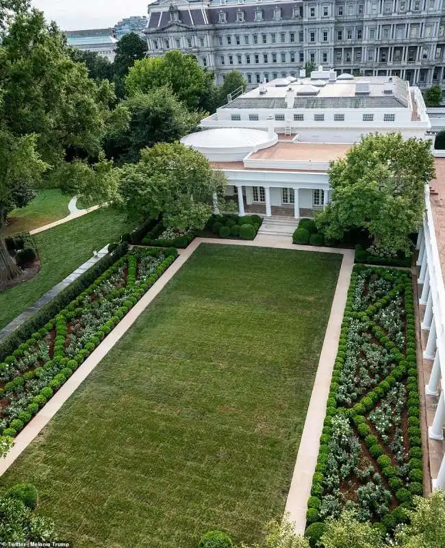 il giardino delle rose alla casa bianca nel 2020 sembra un cimitero 