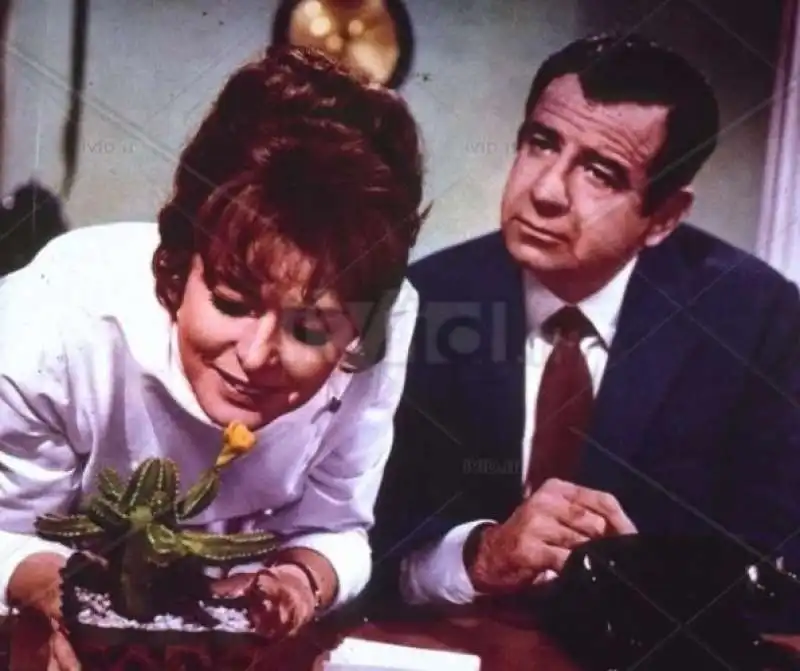 ingrid bergman walter matthau     fiore di cactus