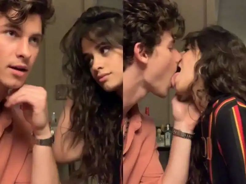 shawn mendes camila cabello 4