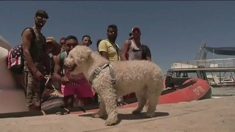 tunisini con barboncino arrivano a lampedusa 