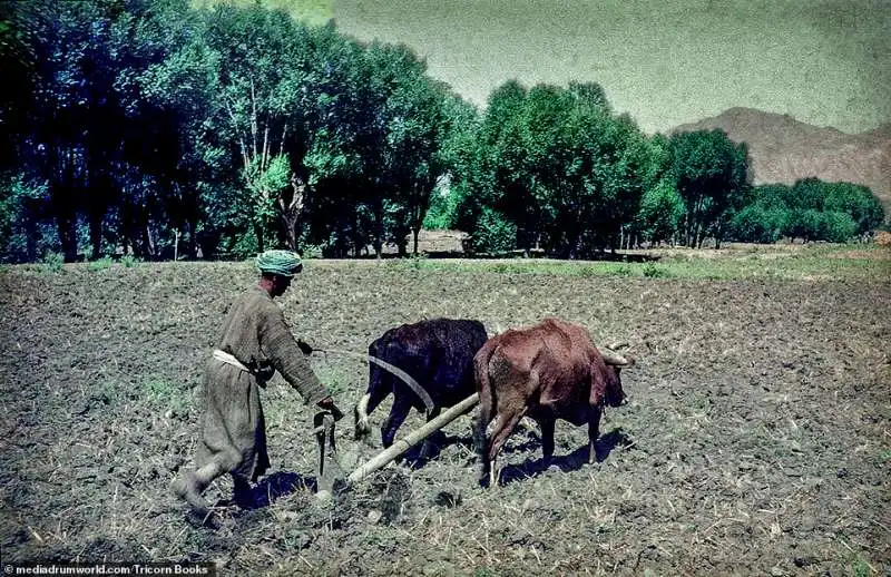 afghanistan, 1955 2