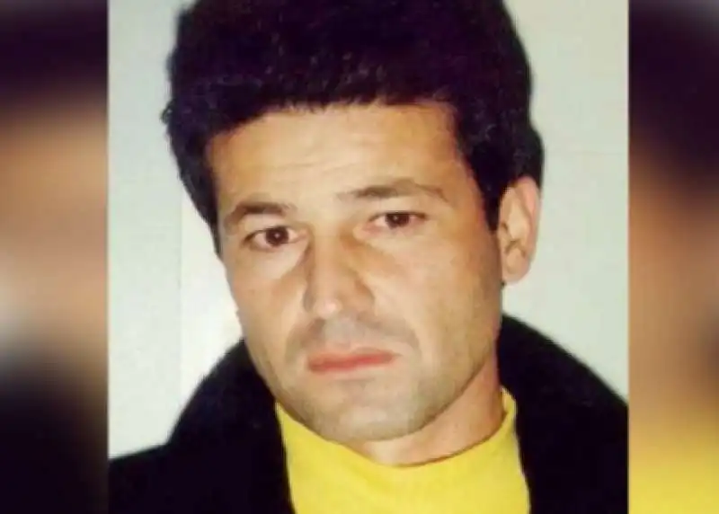 DOMENICO PAVIGLIANITI 