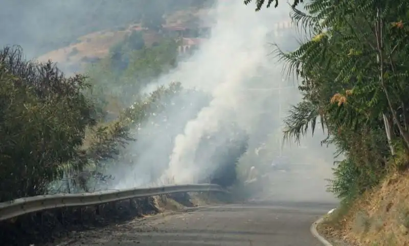 incendi a fuscaldo, in provincia di cosenza 2