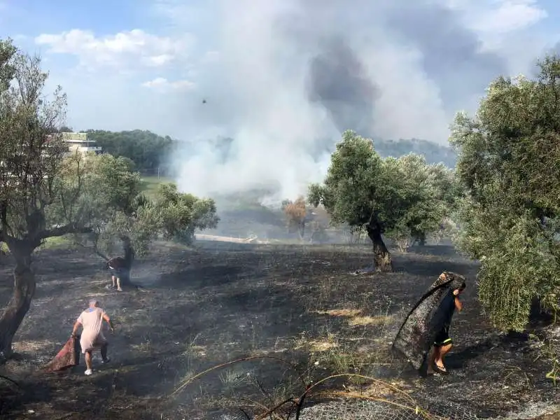 incendi a pescara 6