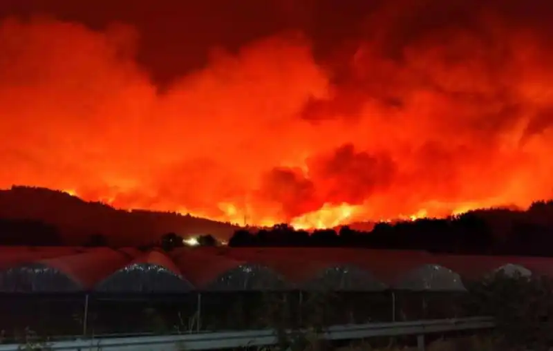 incendi in grecia 3