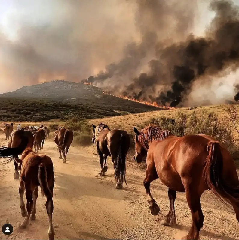 incendi navalcruz spagna 8