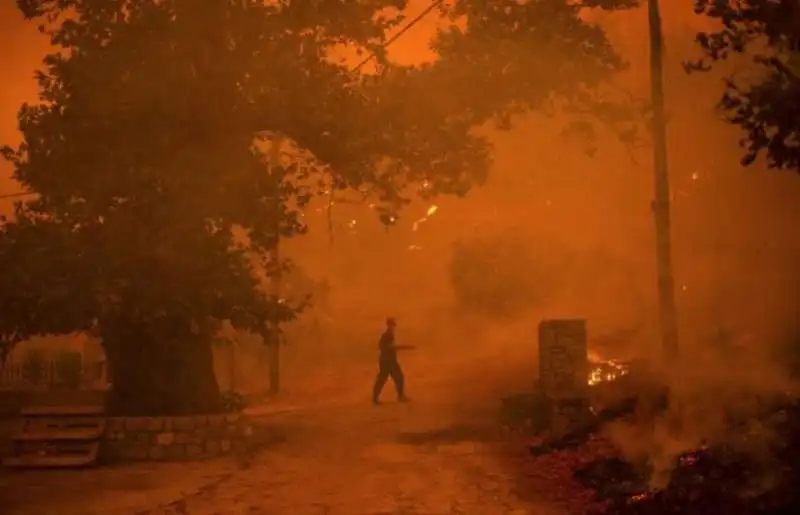 incendi sull' isola di evia in grecia 3