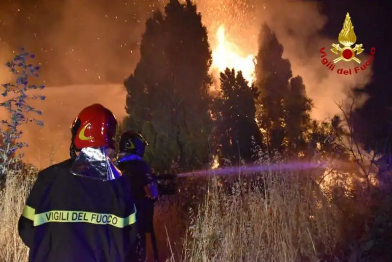 incendio petralia soprana in sicilia  2