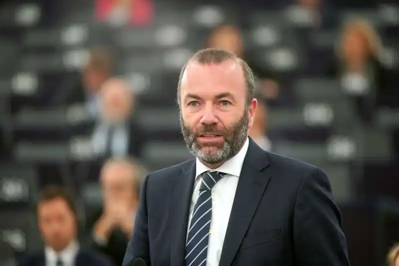 MANFRED WEBER