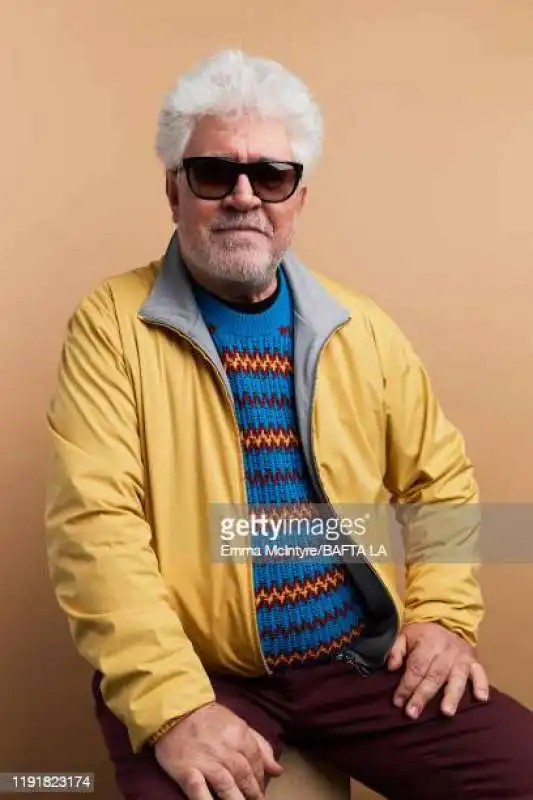 pedro almodovar 2