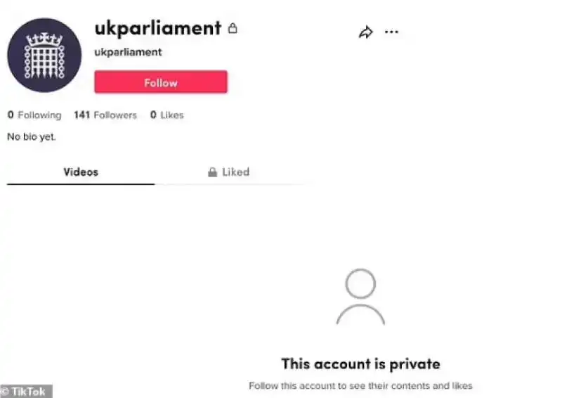 account tiktok del parlamento britannico 