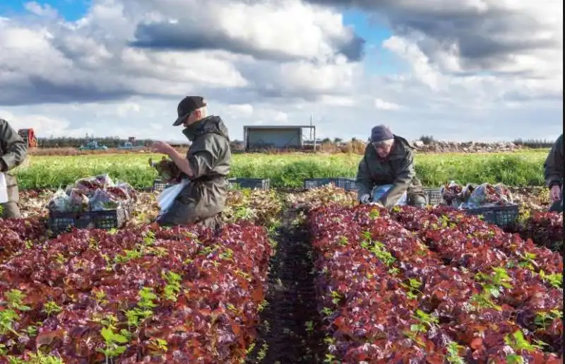 AGRICOLTORI GRAN BRETAGNA