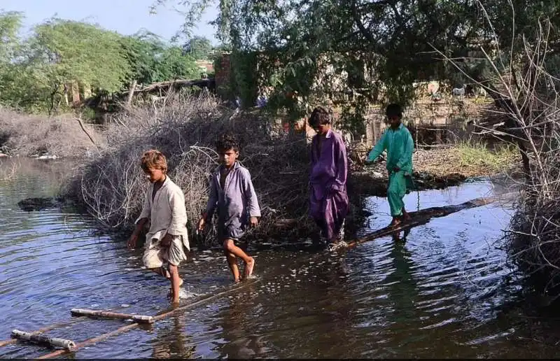 alluvione pakistan 14