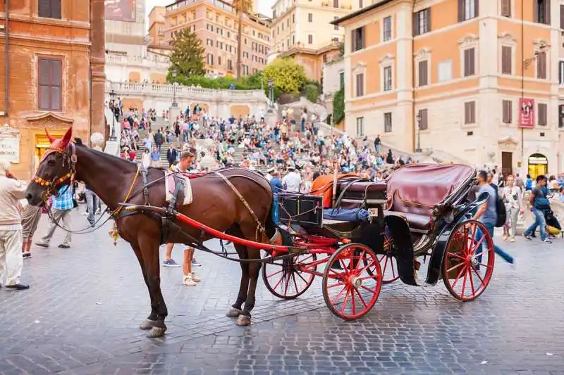 botticelle roma 