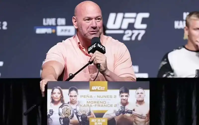 dana white 