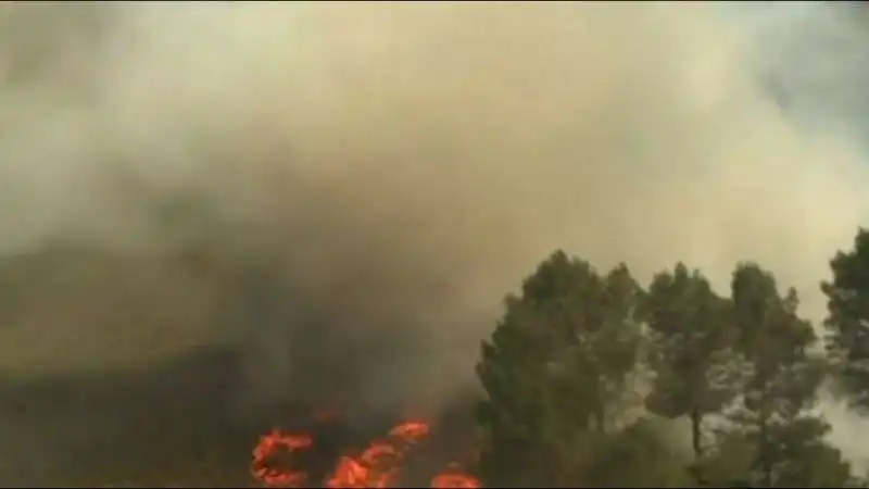 incendi francia gironda 6