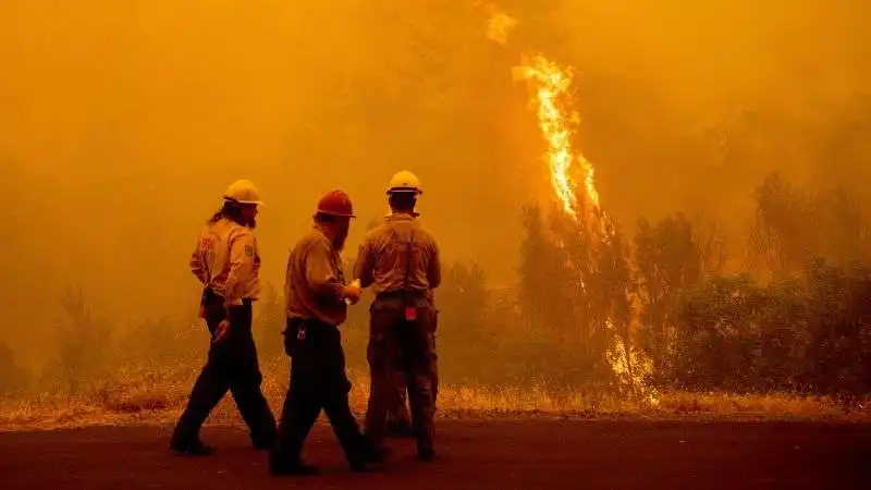 incendio McKinney California 3