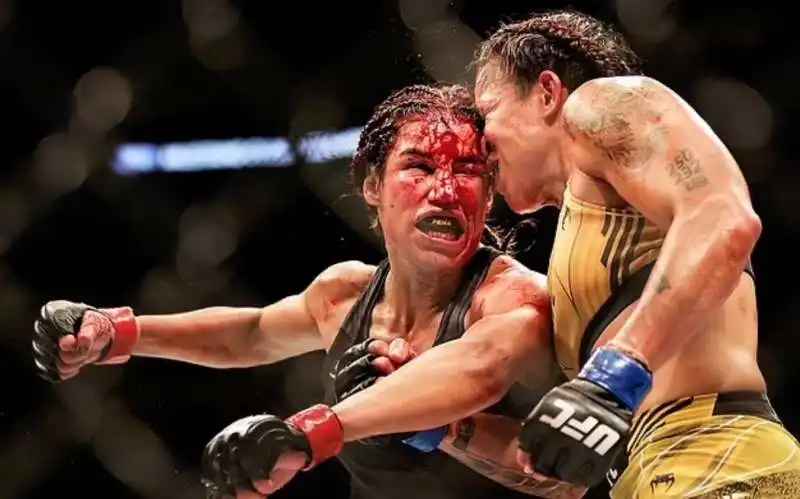 julianna pena amanda nunes 2