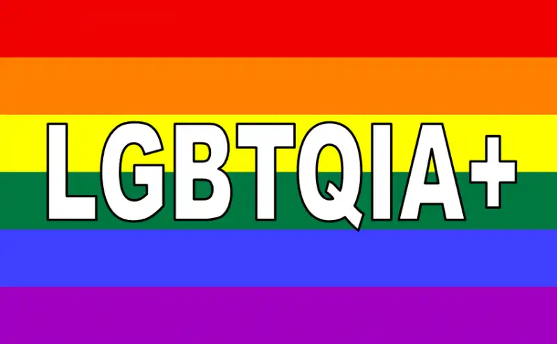 LGBTQIA+ 