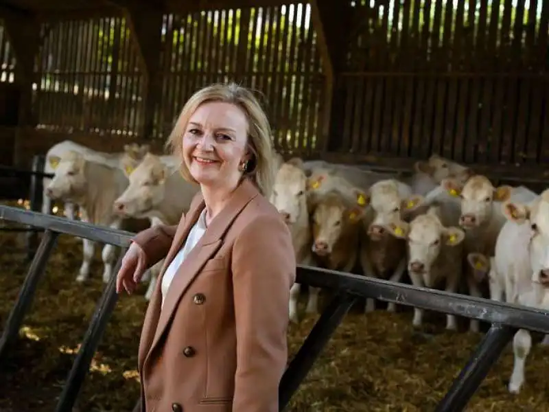 Liz Truss 4