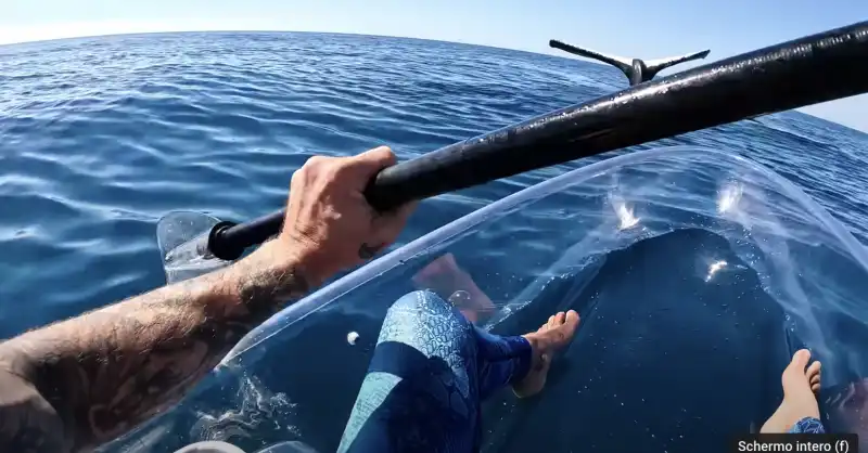 brodie moss e la balena pietrificata in acqua 6