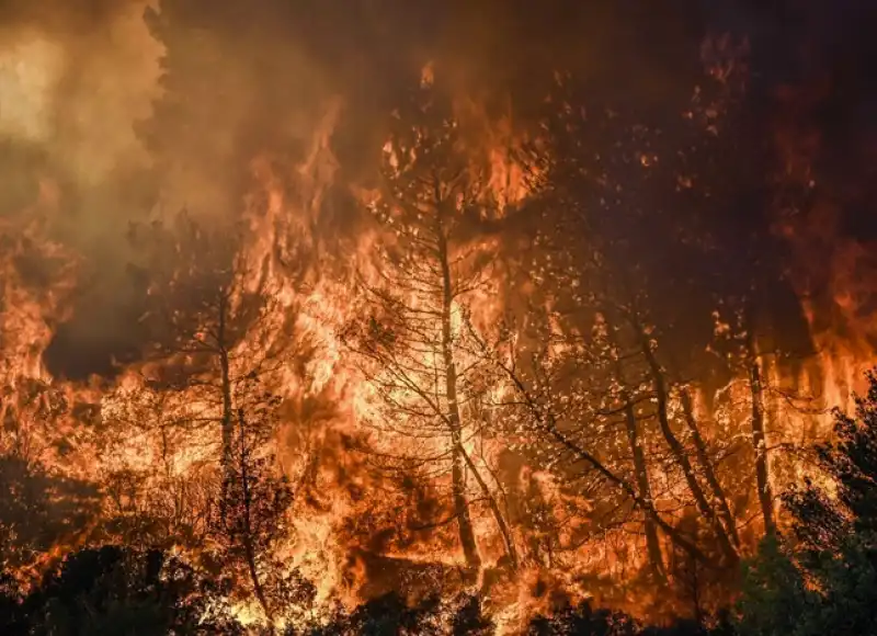 incendi in grecia   4