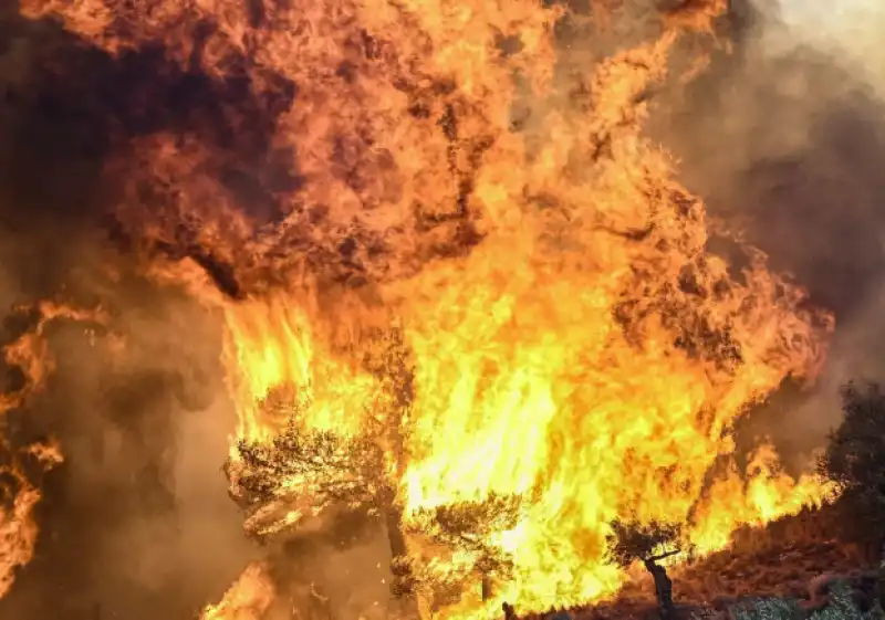 incendi in grecia   6