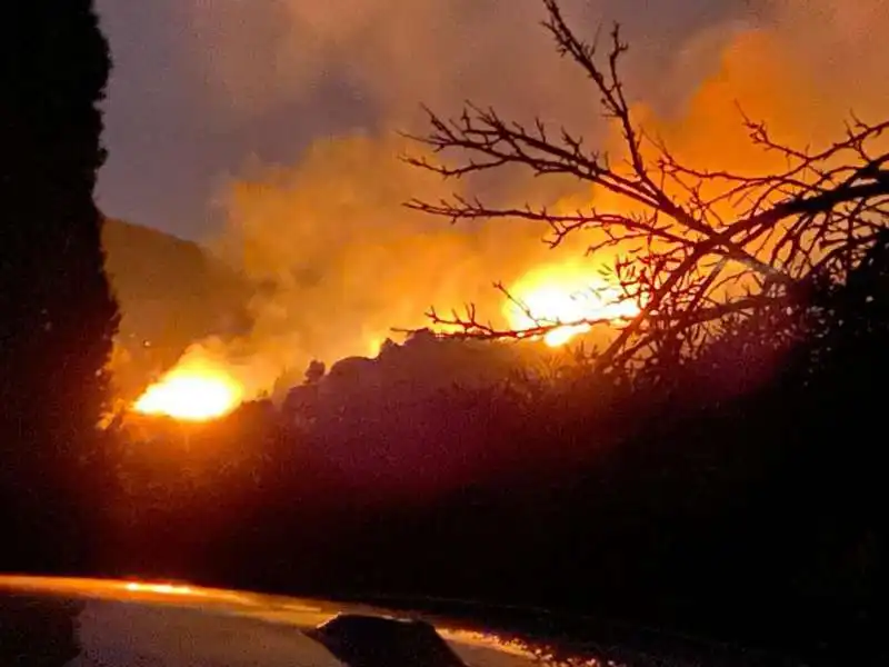 incendio isola d elba   4