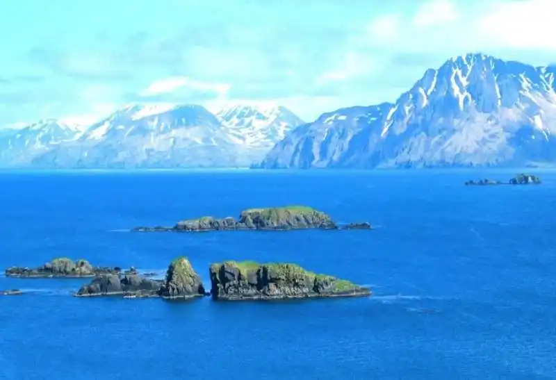 ISOLE ALEUTINE - ALASKA 