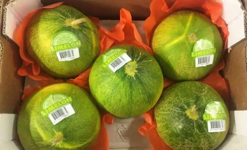 LIMELON 