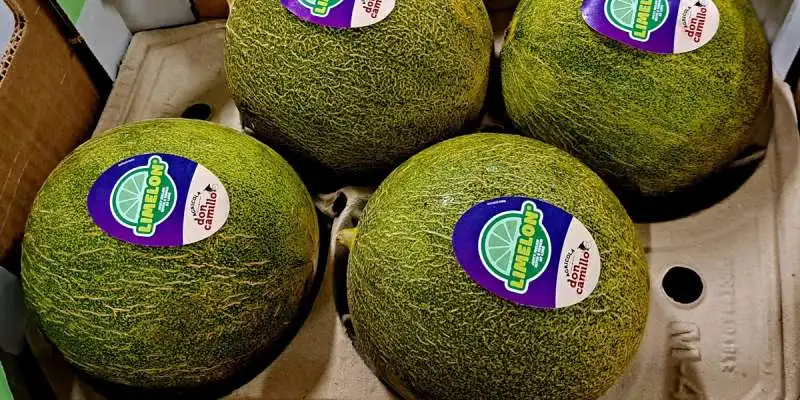 LIMELON 