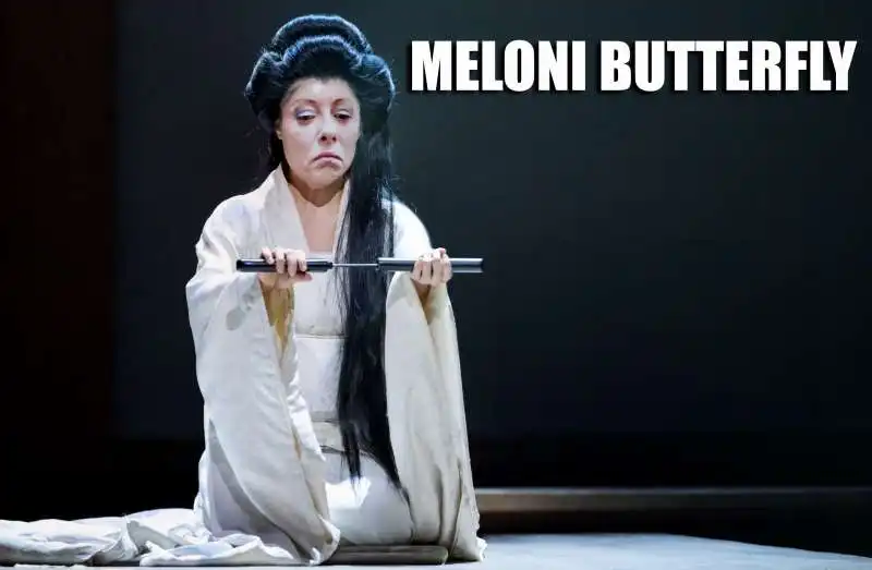 MELONI BUTTERFLY - MEME 