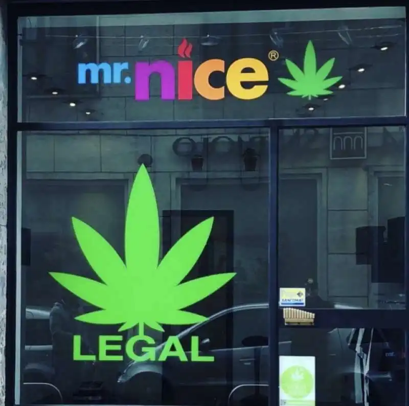 mr nice - negozio di cannabis legale di j-ax a milano