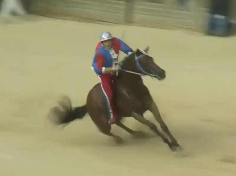 palio di siena 2023 8