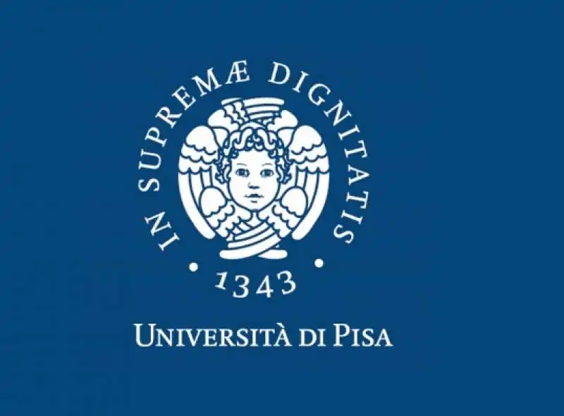 UNIVERSITA PISA