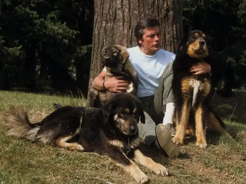 alain delon e i cani 2